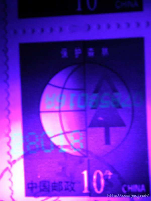 10分大小码，无A字