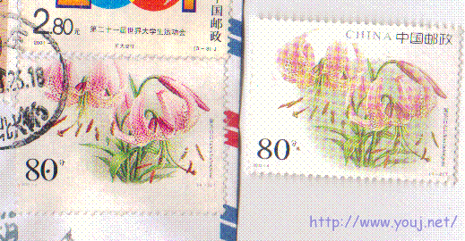 打孔移位？假票？无<中国邮政>