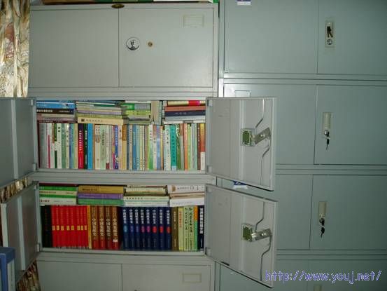 按类放的一些书