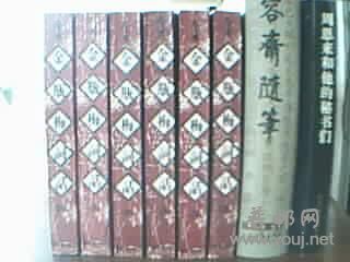 金评梅,可不是盗版的,94年济南书店380买的.