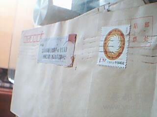 福建长尾17*95,间距10.