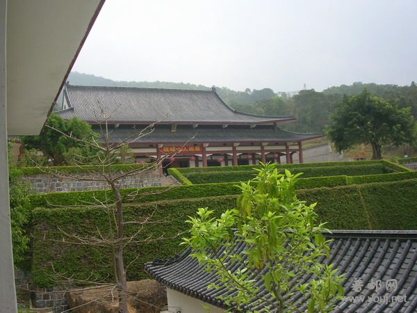 08-04-08侨批文化座谈会 011A.jpg