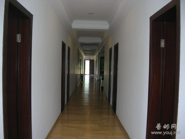 08-04-08侨批文化座谈会 012A.jpg