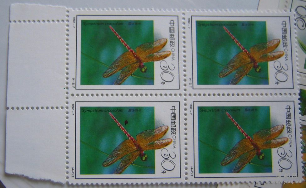 92－7昆虫 趣味品