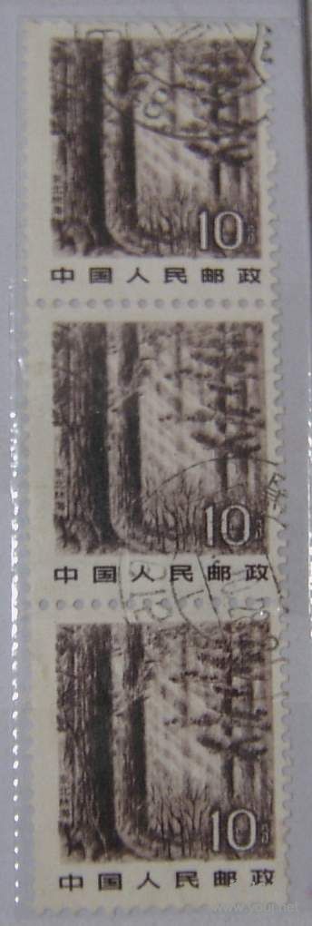 普21 10分齿孔移位.JPG