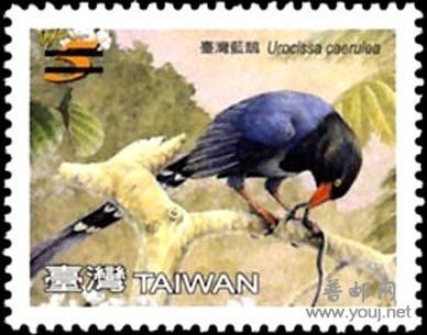 特522 保育鳥類郵票－臺灣藍鵲1.jpg