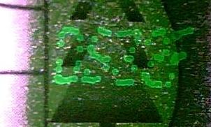 看看到底是什么号码