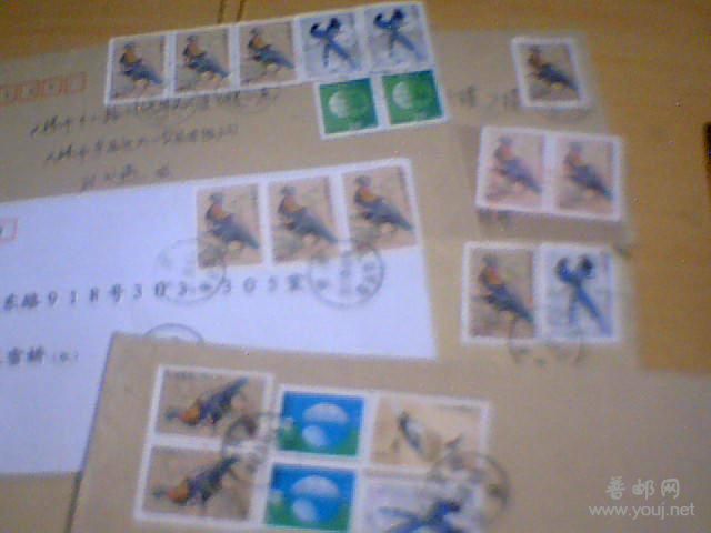 12图是有40分鸟票的少