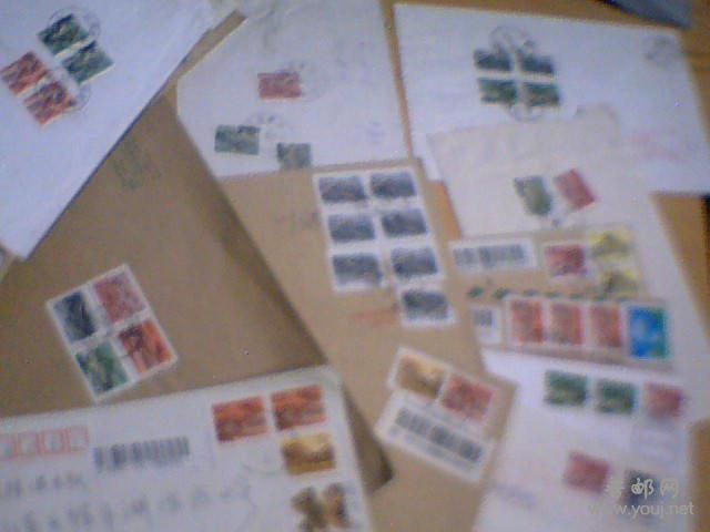 8-9图是挂号的有几十封