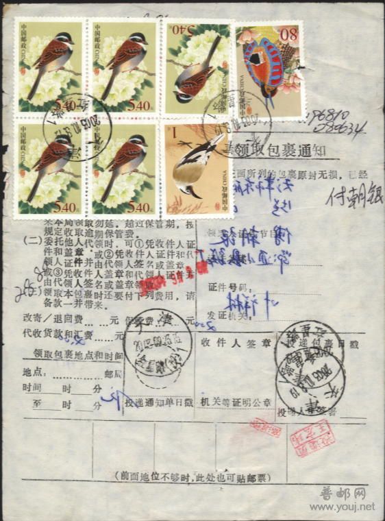 高值鸟贴老包裹单少见.jpg