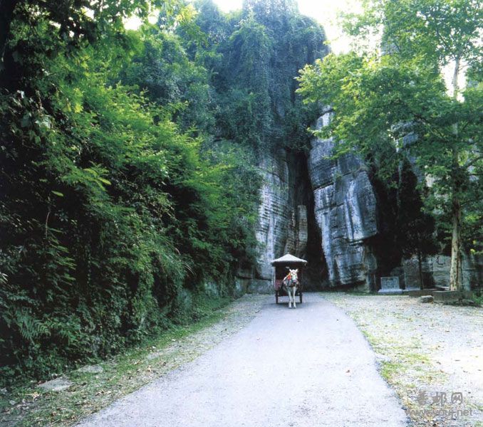 从这里更显不二门内的清幽