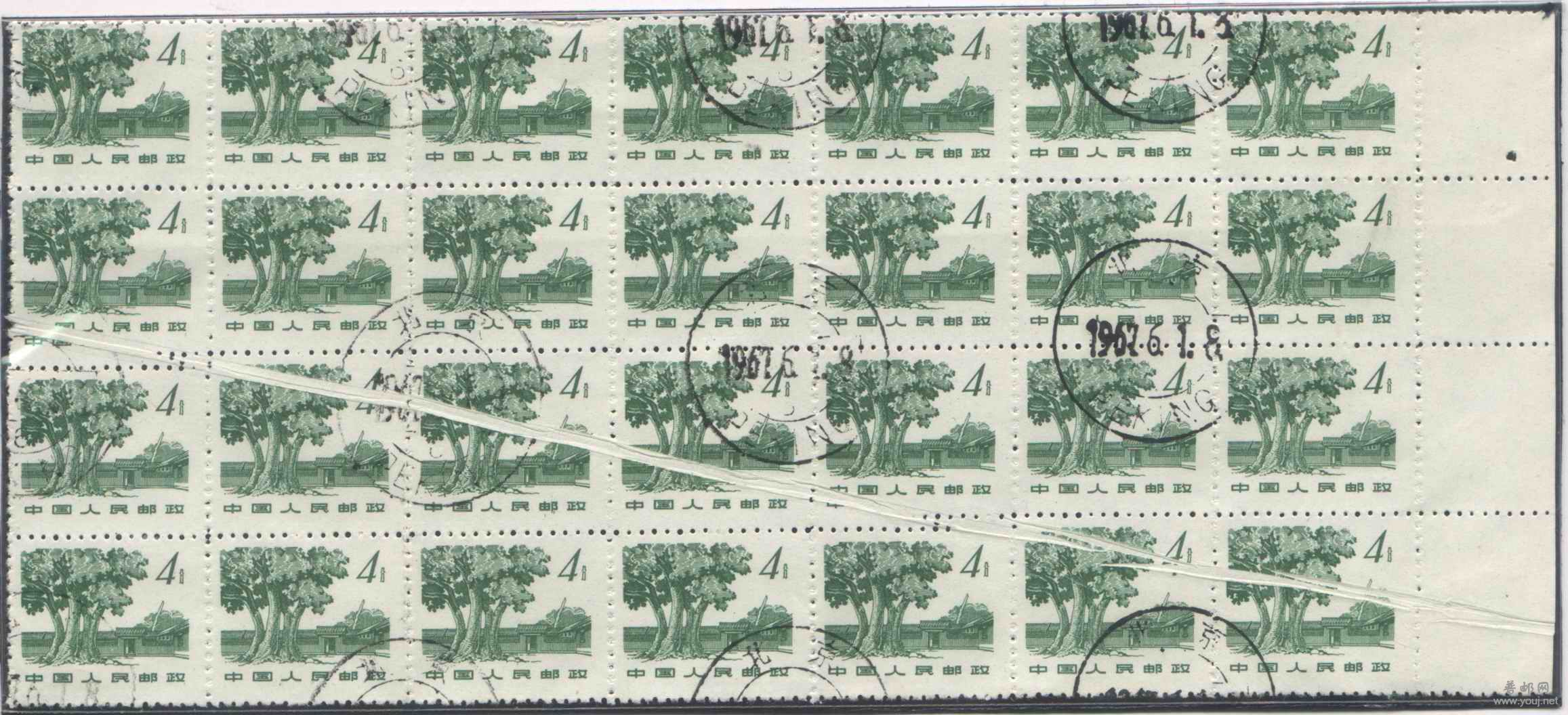 “普12”4分大折白28方连