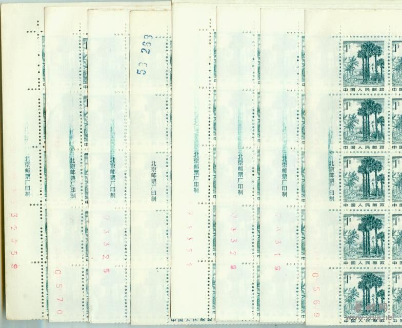 旋转 旋转 旋转 image1002.jpg