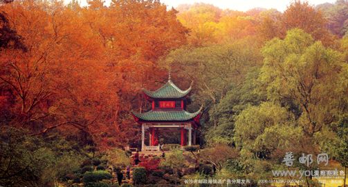 爱晚亭秋色“停车坐爱枫林晚，霜叶红于二月花”