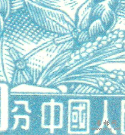 圆圈内的“分”字清晰可辨