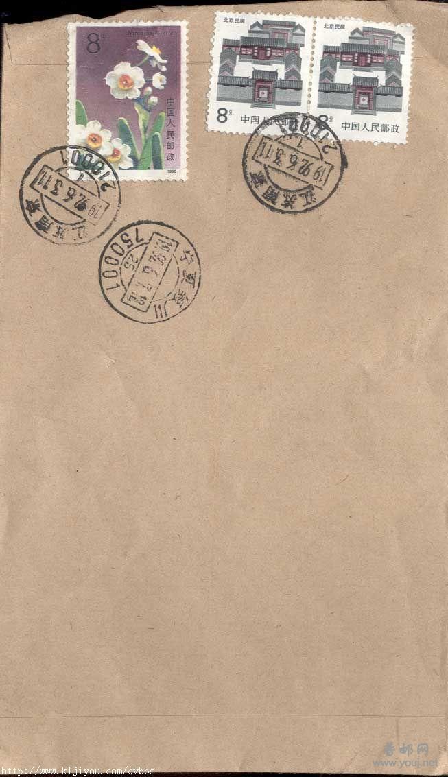 199.T147水仙花-8分封F2691