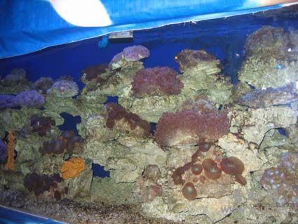 博鰲西沙海洋馆