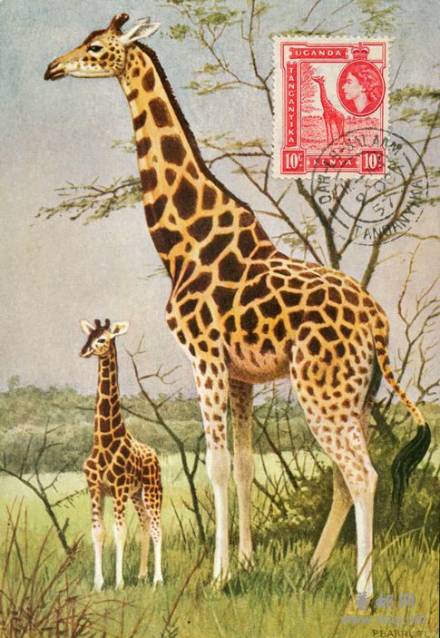 57年8月9日达累斯萨拉姆