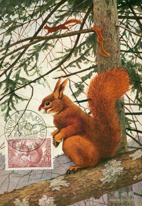 54年6月9日赫尔辛基