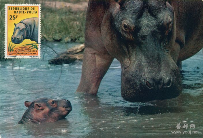 66年1月1日瓦加杜古