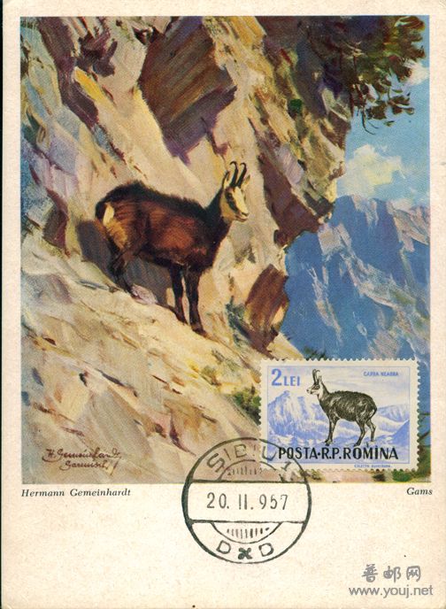 57年11月20日西比尤原地