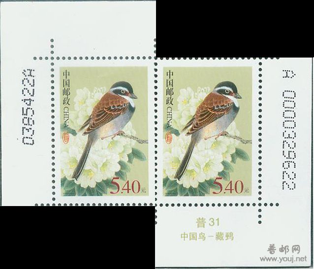 R31 5.4元双号.jpg