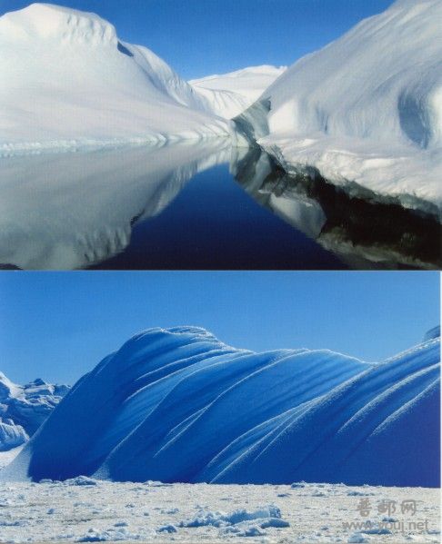 南极北极3.jpg