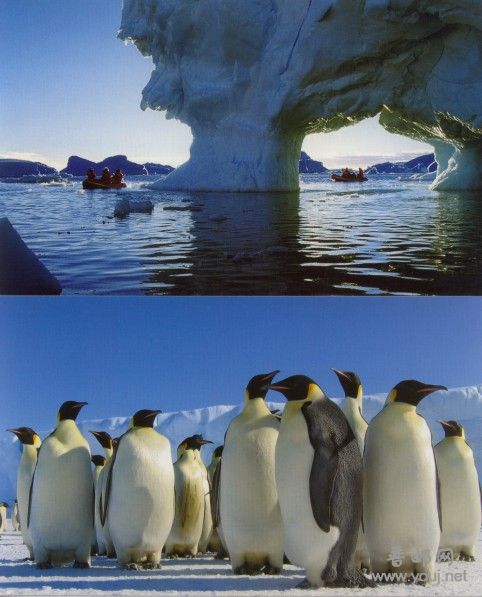 南极北极4.jpg