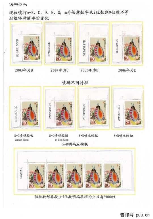 Microsoft Word - 中国鸟80分_004.jpg