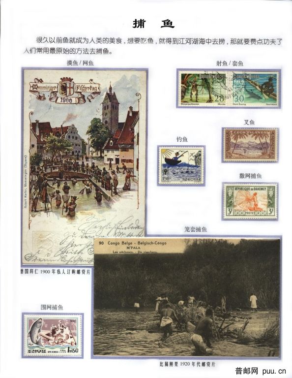 捕鱼.jpg