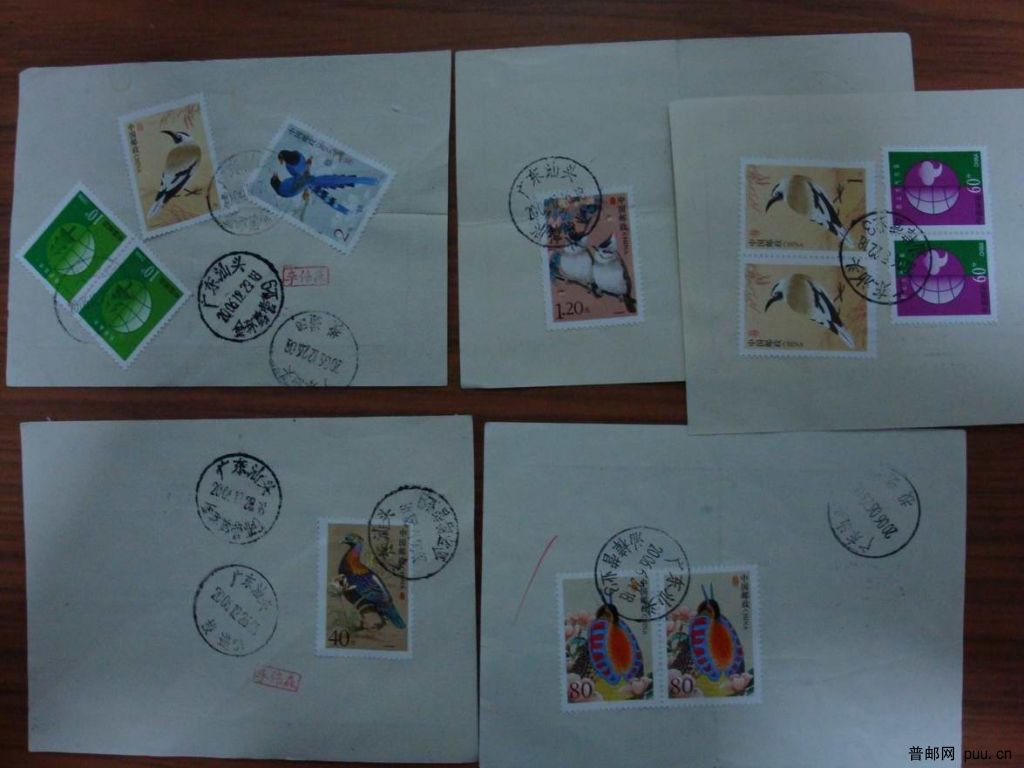 调整大小 DSC00379.JPG