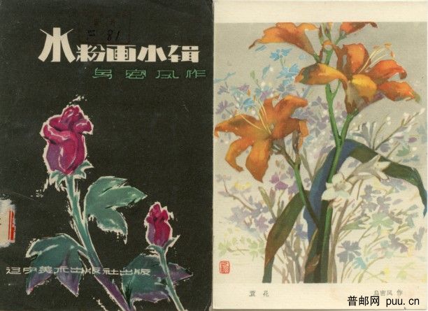 封面和萱花（忘忧草）