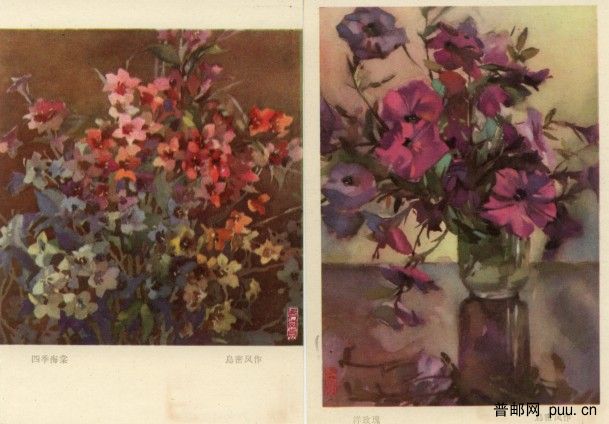 四季海棠、洋玫瑰