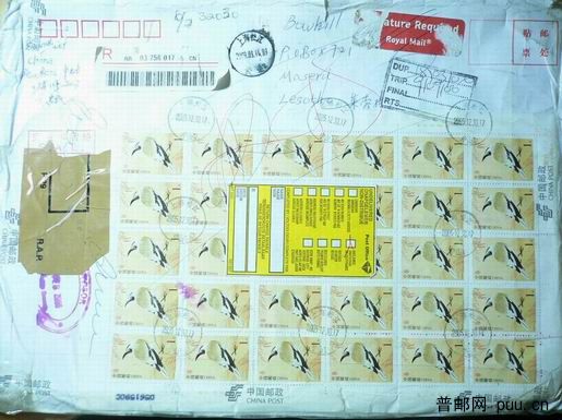 调整大小 P1040459.JPG