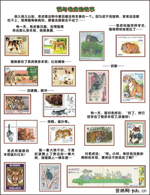 047-俞硕霖 -猫与老虎的故事-小.jpg