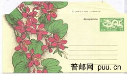 香港1。3元龙图案邮资邮简