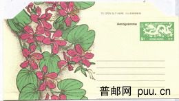 香港1元龙图案邮资邮简