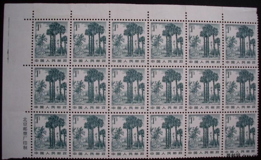 普21 1分版式A.jpg