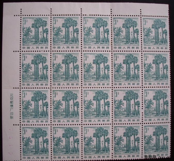 普21 1分版式B.jpg