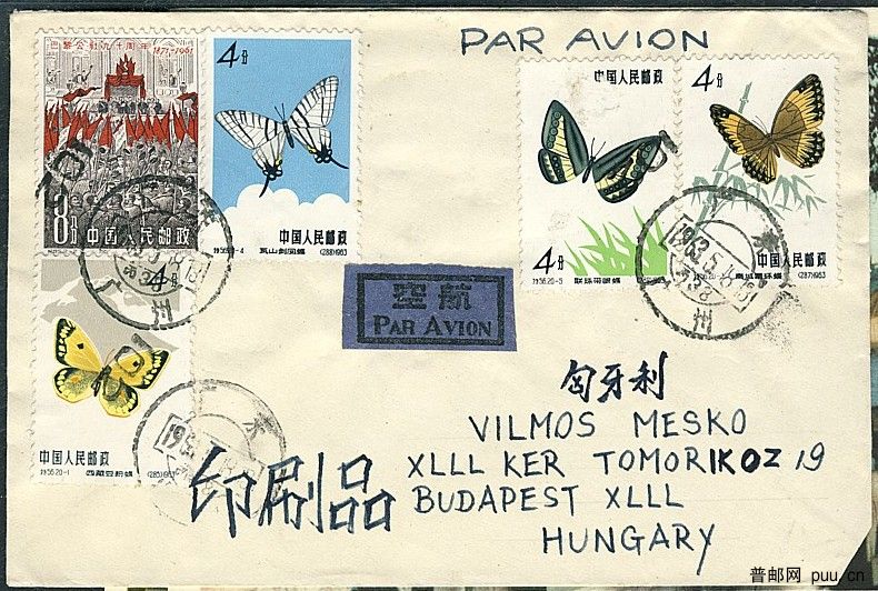 蝴蝶实寄封.jpg