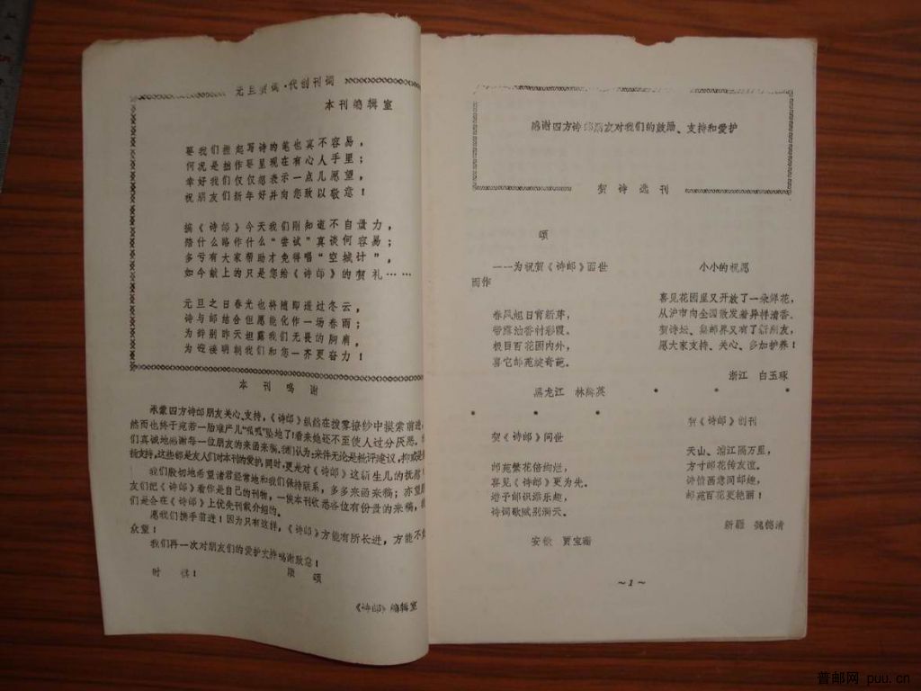 调整大小 DSC00981.JPG