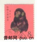 猴2.JPG