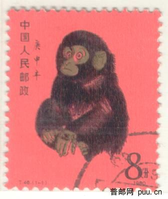 猴1.JPG