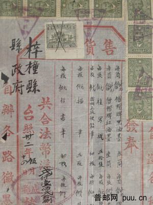 河南海南 207.jpg