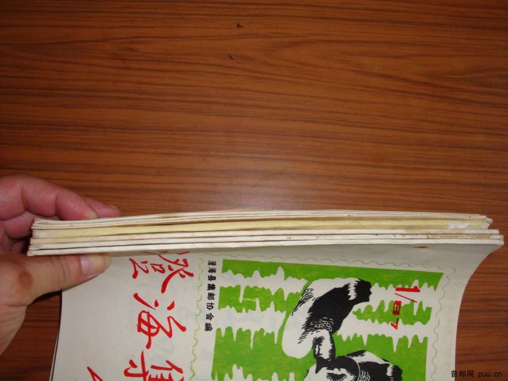 调整大小 DSC01227.JPG