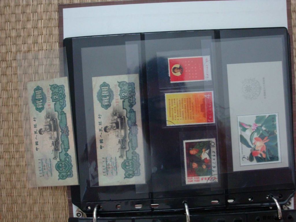 调整大小 DSC01335.JPG