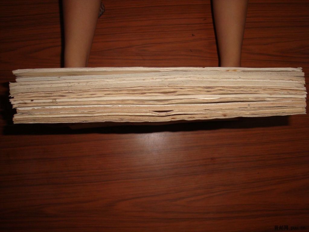 调整大小 DSC01361.JPG