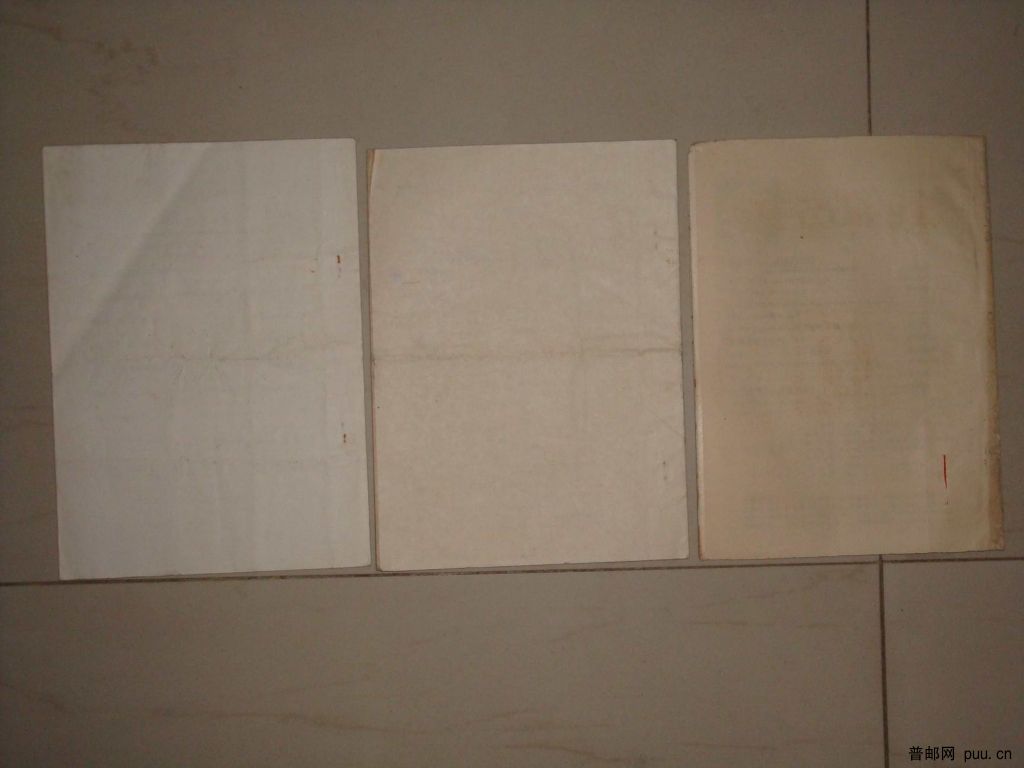 调整大小 DSC01408.JPG