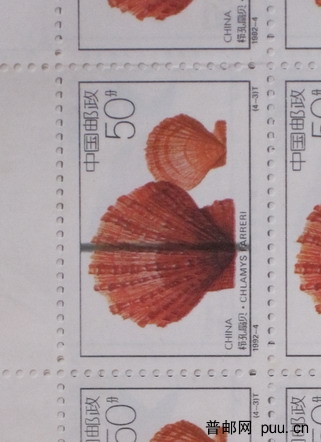 河南海南 277.jpg