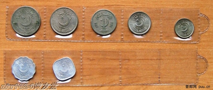 巴基斯坦硬币.JPG